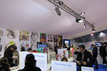 FIBD 2012